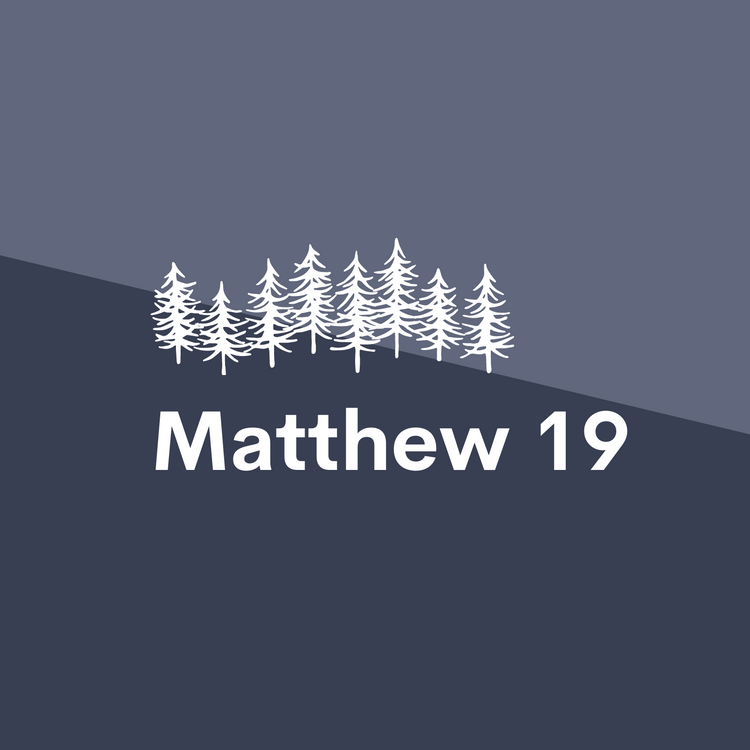 Jan 28: Matthew 19