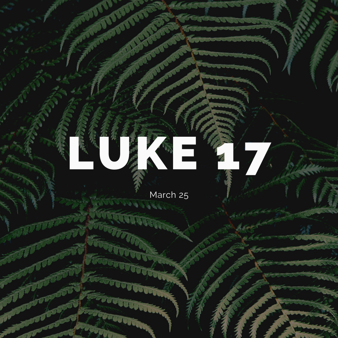 March 25: Luke 17